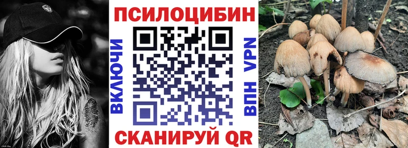 цены наркотик  Слободской  Галлюциногенные грибы мицелий 